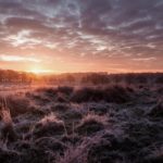 Knowledge Dawning