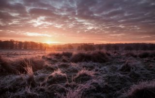 Knowledge Dawning