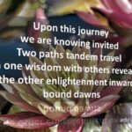 Enlightenment
