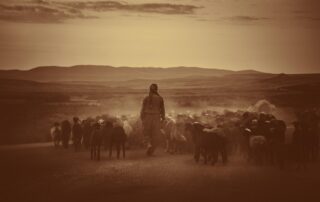 The Pastor