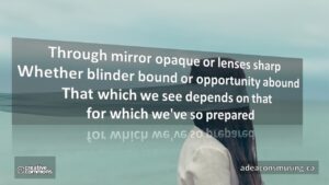 What We Perceive