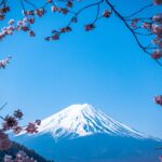 Humanity Blossoms