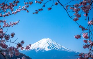 Humanity Blossoms
