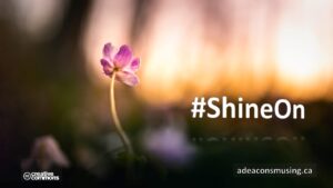 #ShineOn