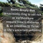 Roots Dive