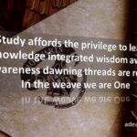 Study Affords