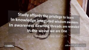 Study Affords