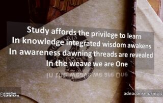 Study Affords
