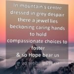 Hope Bears