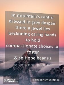 Hope Bears