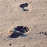 Initial Step
