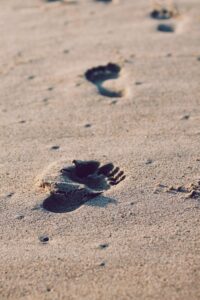 Initial Step