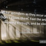 Rumi