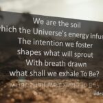 We the Soil