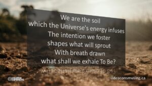 We the Soil
