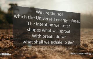 We the Soil