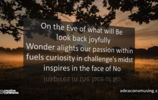 Wonder Alights