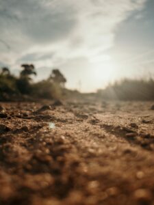 We the Soil