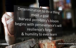 Humility Learn
