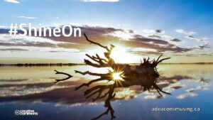 #ShineOn