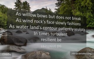Resilient Be