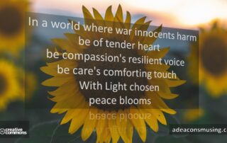 Peace Blooms