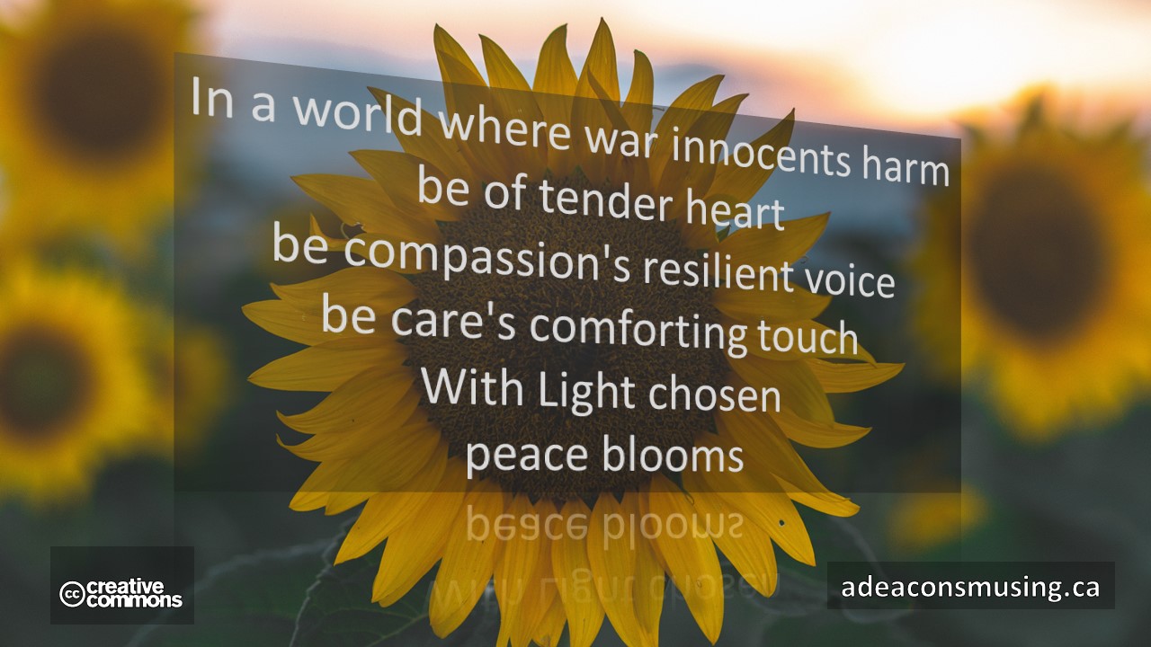 Peace Blooms