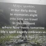 Life's Spell
