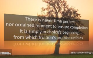 Fruition's Promise