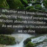 Brooks Babbling