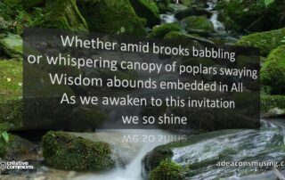 Brooks Babbling