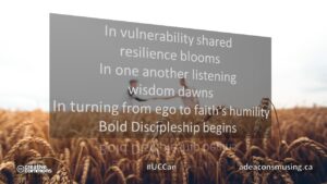 Bold Discipleship