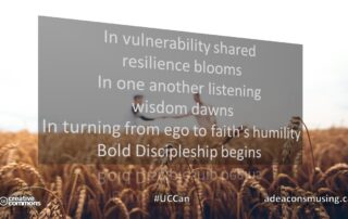 Bold Discipleship