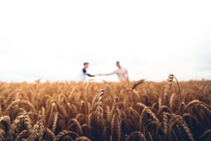 Bold Discipleship