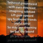 Sky Bound