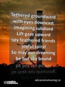 Sky Bound