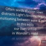 Wonder's Midst