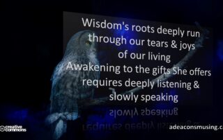Wisdom Awakening