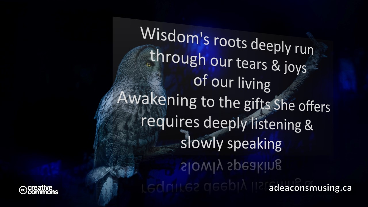 Wisdom Awakening