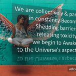 Universe's Aspect