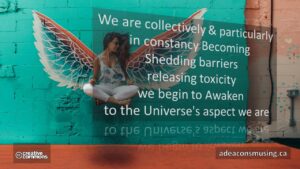 Universe's Aspect