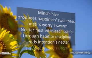 Intention's Nectar