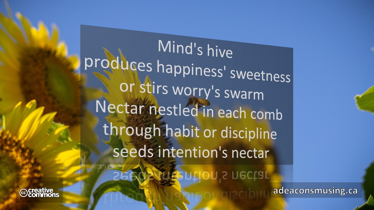 Intention's Nectar