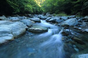 River's Flow