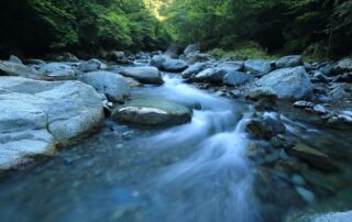 River's Flow