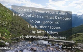 Choice