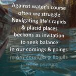 Comings & Goings