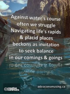Comings & Goings