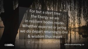 Wisdom Impart