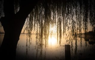 Wisdom Impart